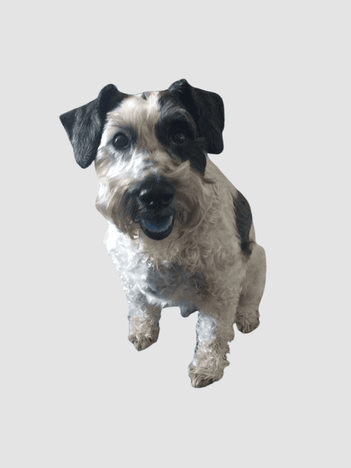 Oscar "Cpt. Schnoodle" Corona